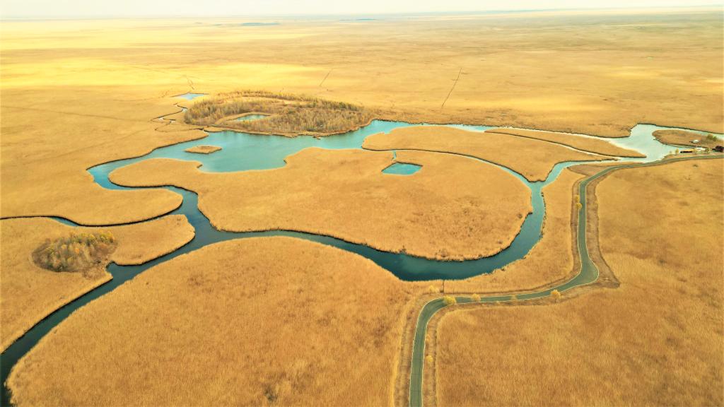 湿地之美丨黑龙江扎龙国家级自然保护区
