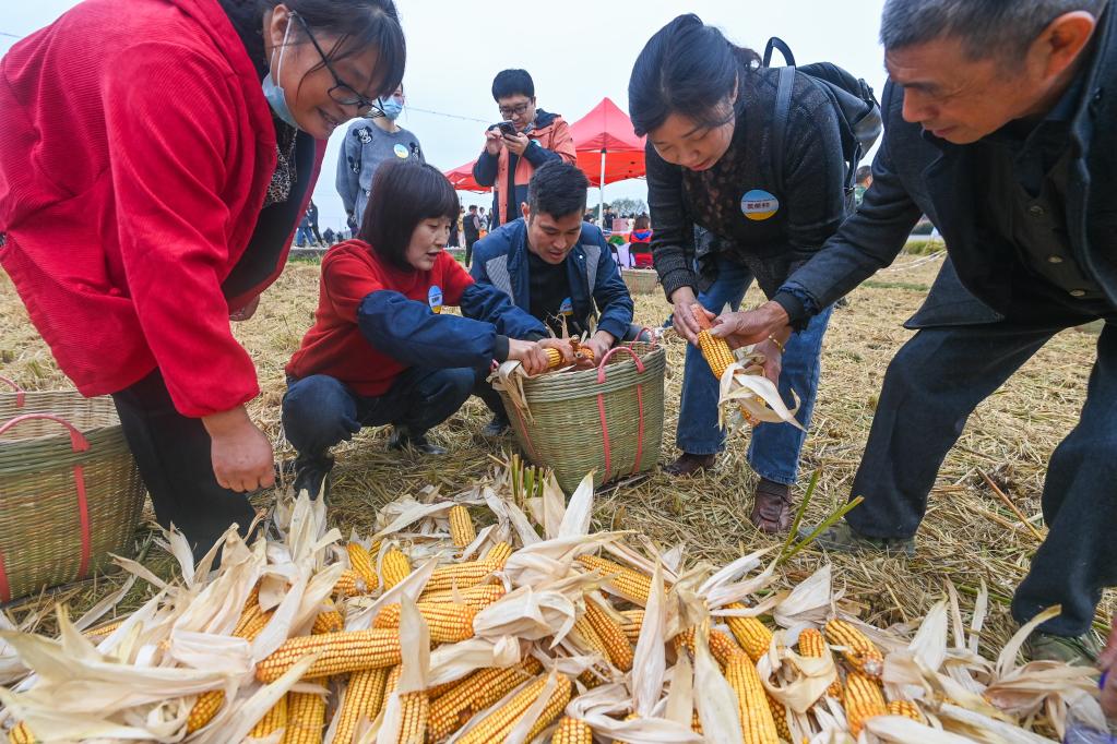 杭州瓶窯舉辦農民豐收運動會