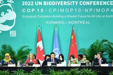《生物多样性公约》第十五次缔约方大会第二阶段高级别会议开幕