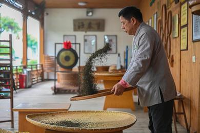 新华全媒+丨福州：茉莉花茶的传统窨制工艺