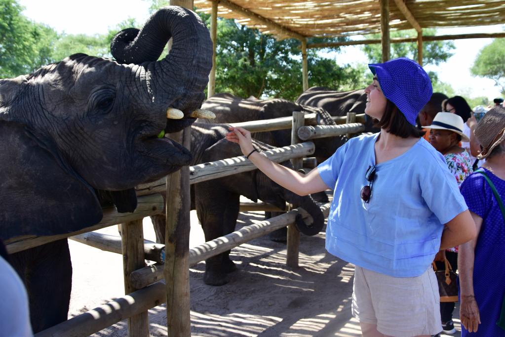 探访博茨瓦纳大象孤儿院