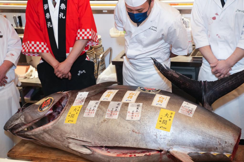 日本“大間金槍魚”連續11年贏得新年首拍最高價