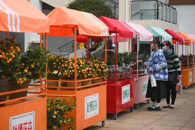 新华全媒+丨海南热带花卉交易（拍卖）市场开业运营