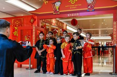 莫斯科举行中国文化庙会迎新春