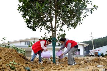 贵州：义务植树为大地添绿