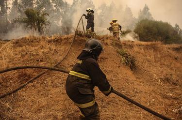 智利森林火灾死亡人数升至23人
