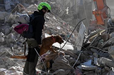 土耳其南部強震已致該國逾3.5萬人死亡
