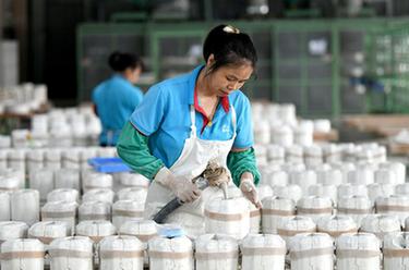 福建德化：陶瓷企业生产忙