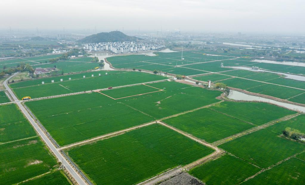 浙江湖州：全域土地综合整治助力美丽乡村建设