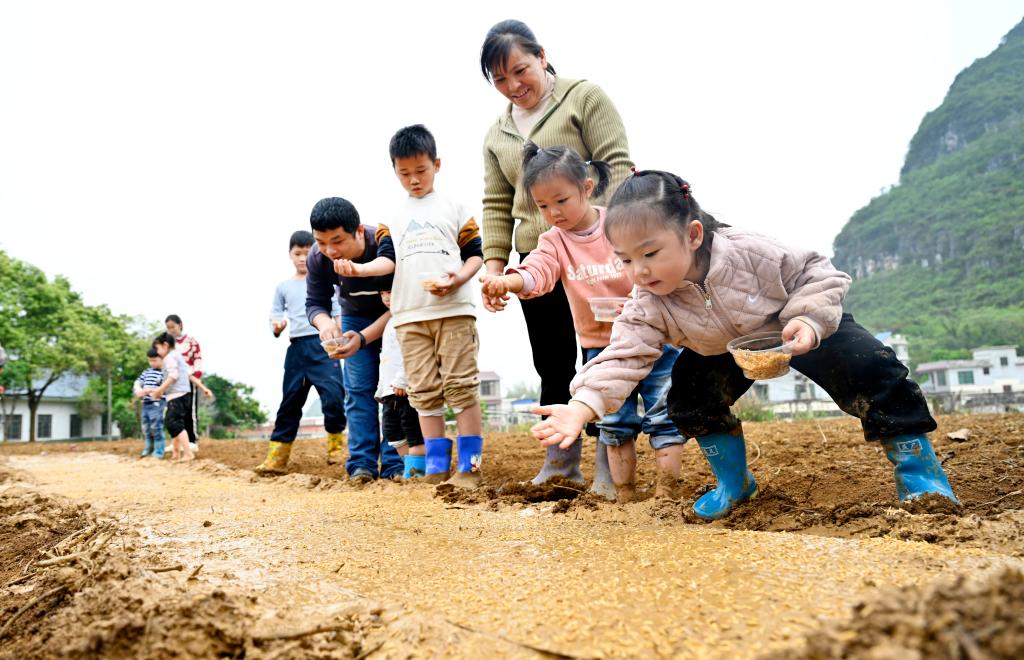 广西柳州：体验农耕文化 感受田间乐趣