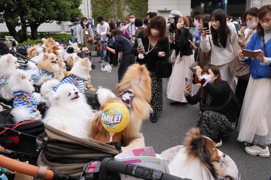 东京举行国际宠物用品博览会