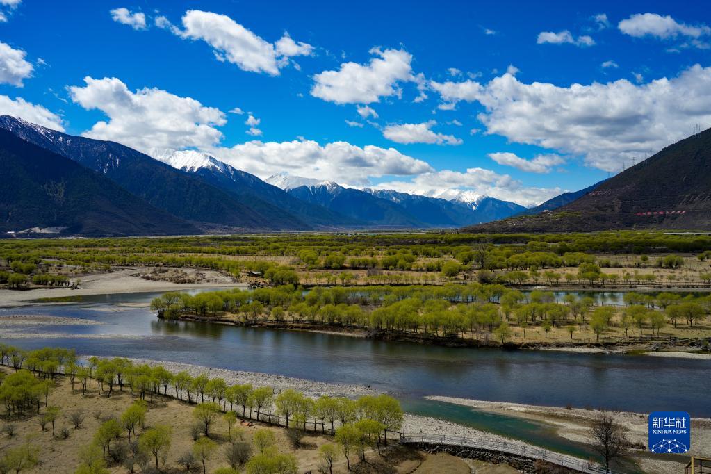 西藏雅尼国家湿地公园春光美