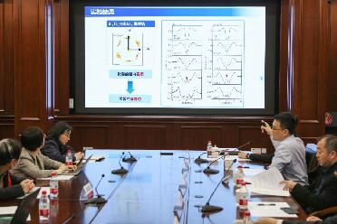 上海交通大学举行“实验证实超导态‘分段费米面’”成果新闻发布会