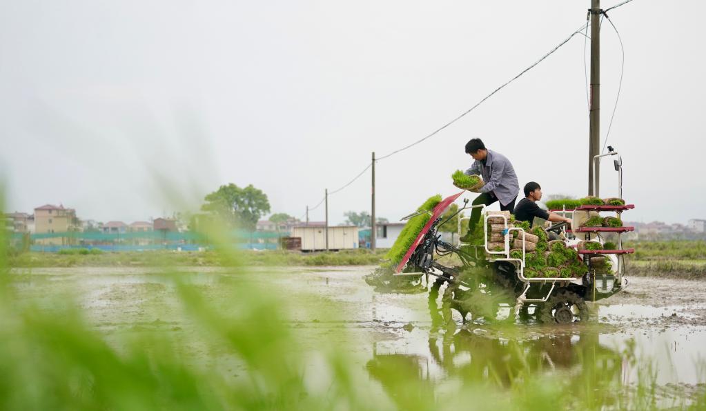 四季中国——“慧”种田的“黄机长”