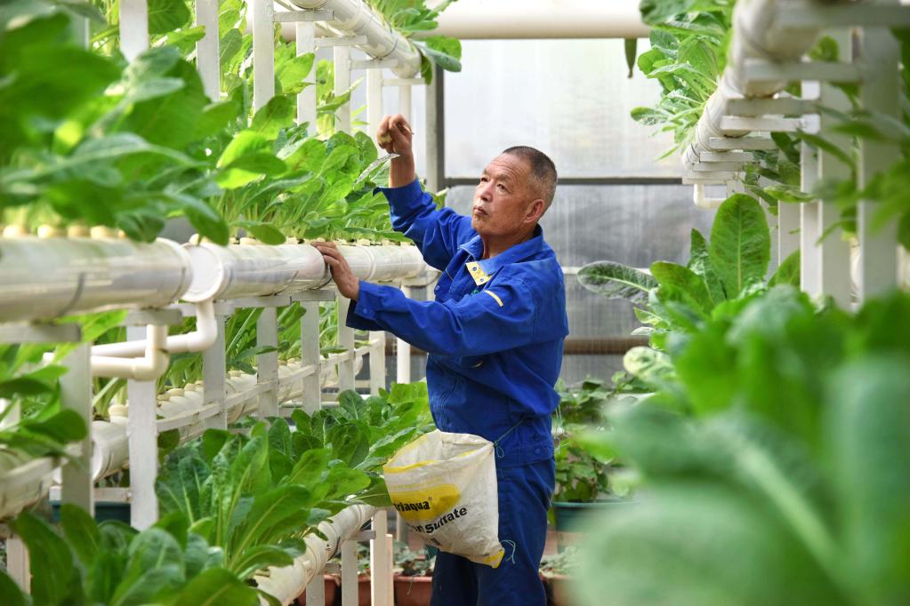 新华全媒+丨第二十四届中国(寿光)国际蔬菜科技博览会开幕