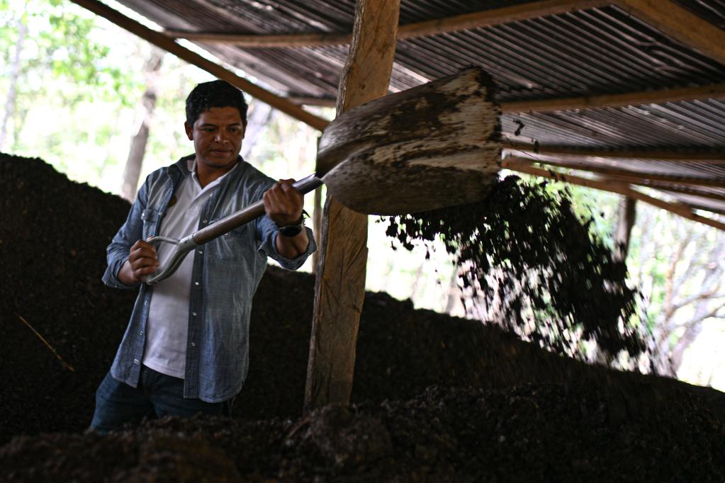 洪都拉斯：探访咖啡种植园和工厂