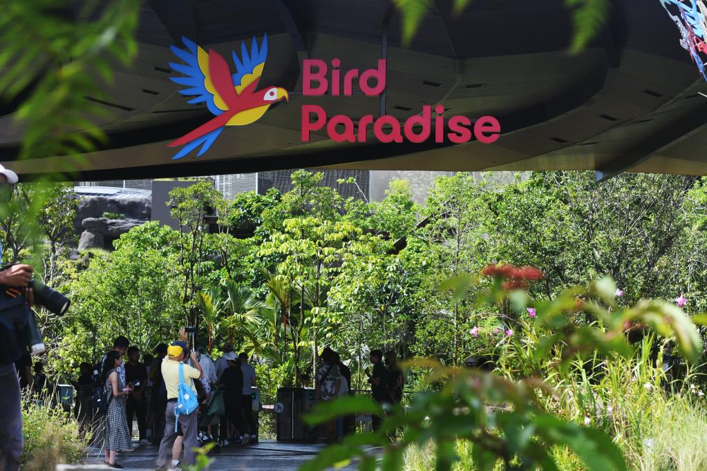 新加坡新一座飞禽公园开门迎客