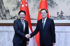 丁薛祥同新加坡副總理兼財政部長黃循財舉行會談