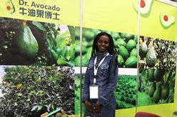 第二届国际非洲牛油果大会在肯尼亚内罗毕举行