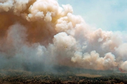加拿大野火蔓延過火面積約2.7萬平方公里