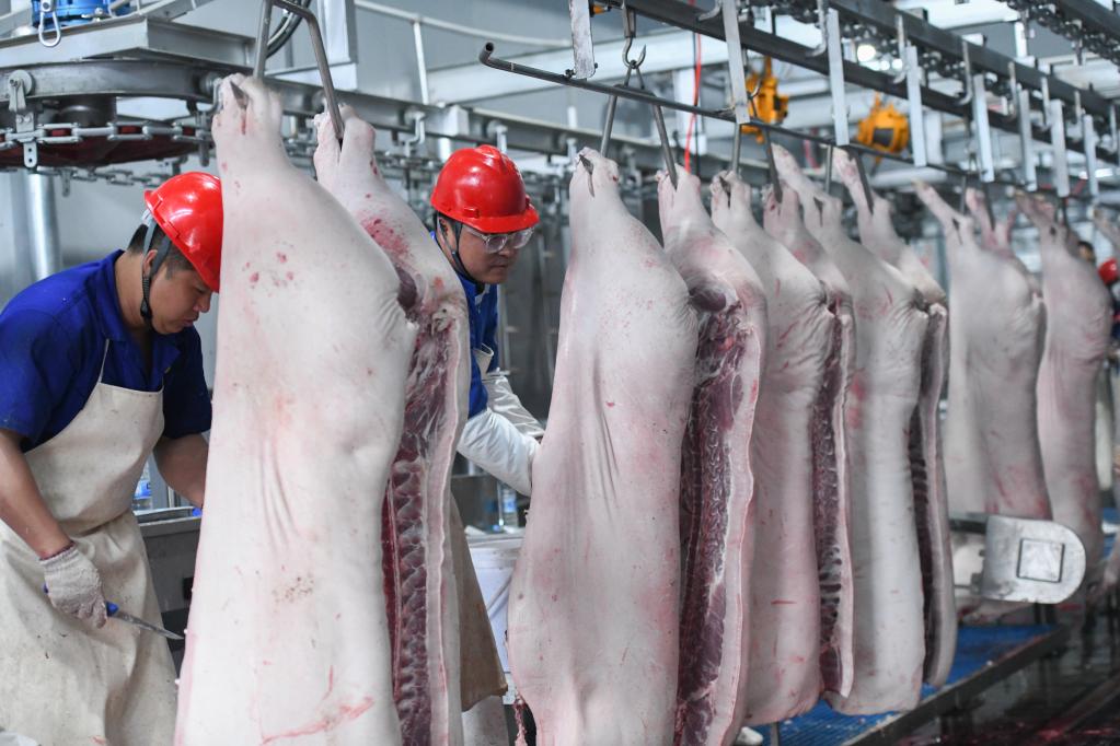黑龙江铁力：生猪屠宰项目投产促就业