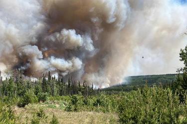 加拿大野火蔓延