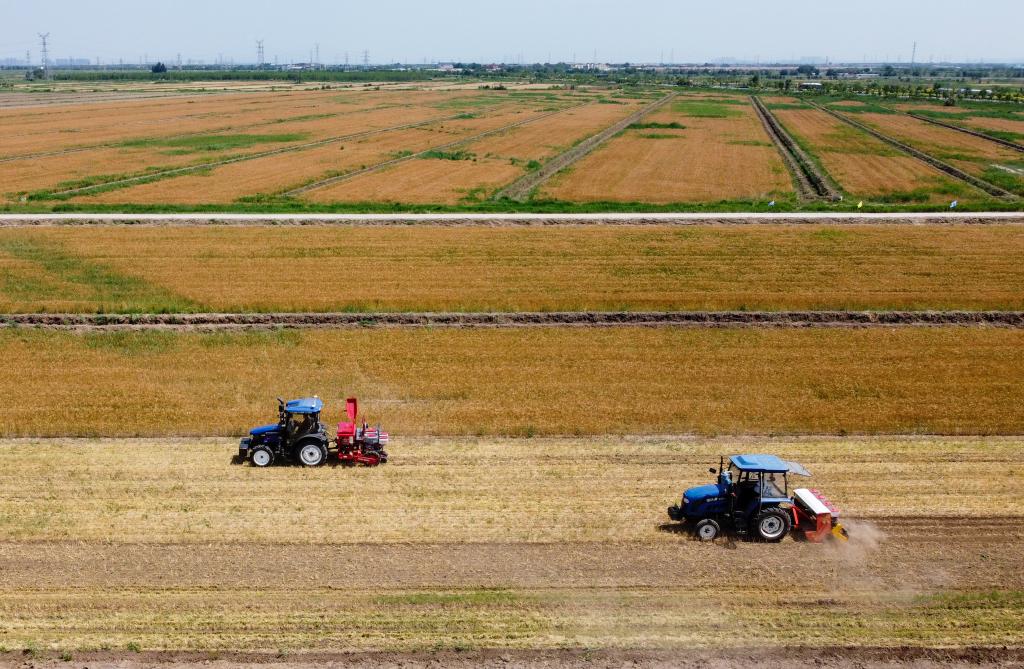 天津：智能农机装备服务“三夏”