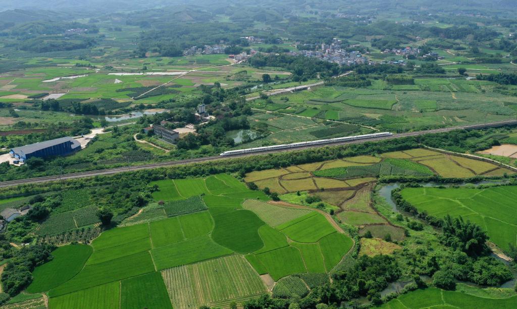广西鹿寨：农田升级助增收