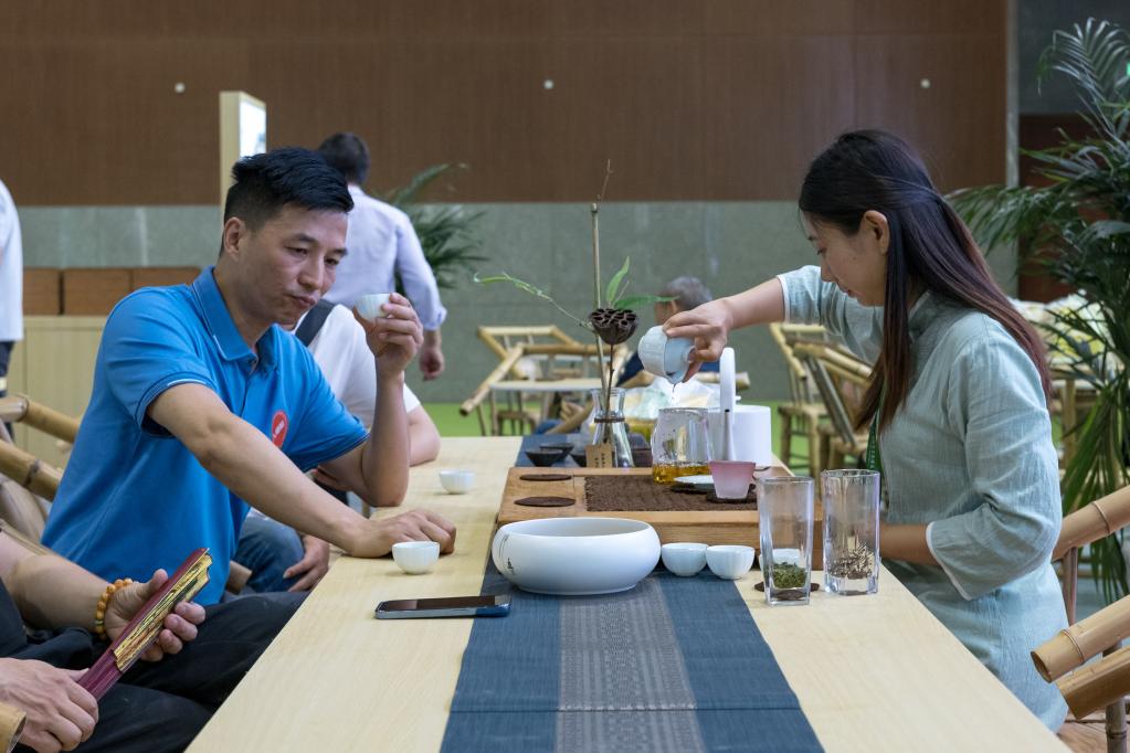四川樂山：茶飄香 産業旺