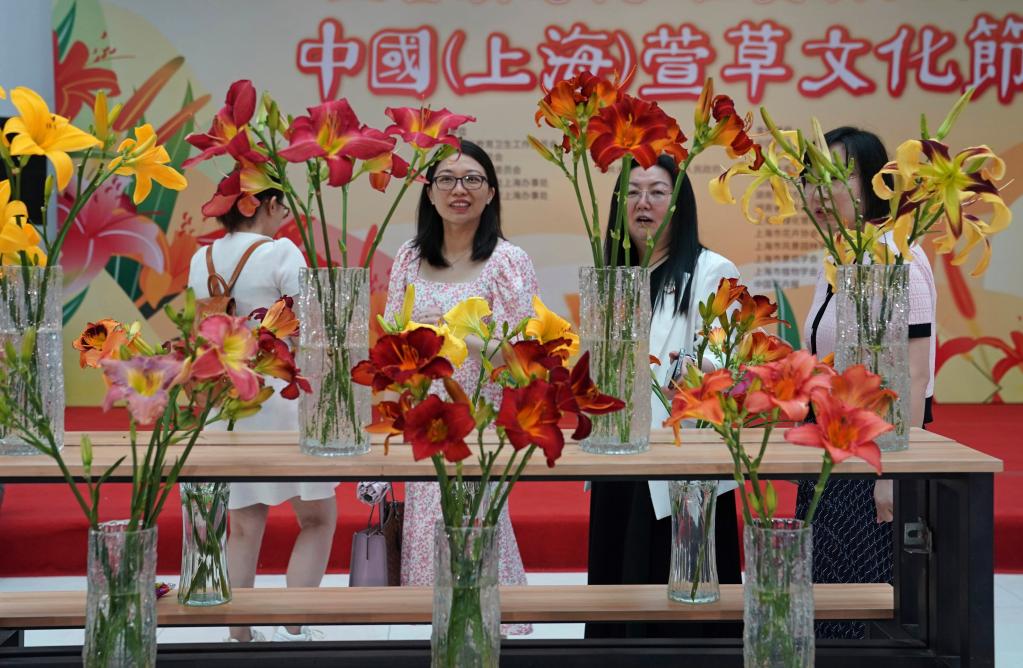 2023中国（上海）萱草文化节开幕