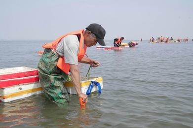 河北唐山：投礁種草修復渤海生態 “海底沙漠”現“綠洲”
