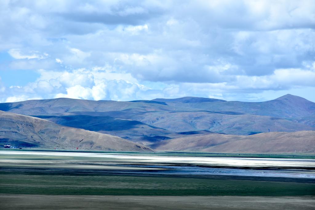 西藏措美：草原天地阔 万物任徜徉