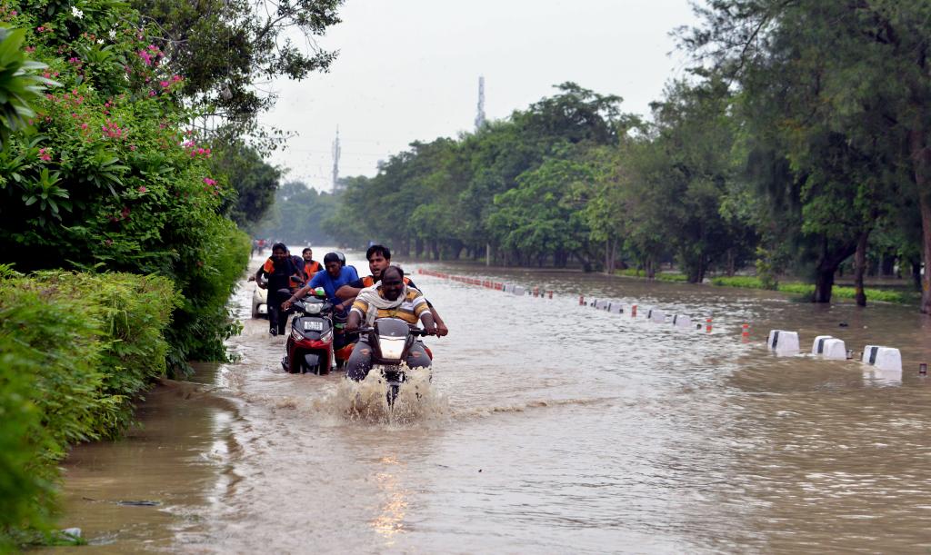 新德里部分地区被淹