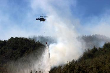 土耳其：扑灭山火
