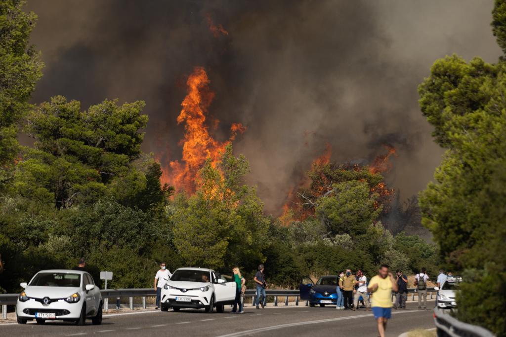 希腊：野火肆虐