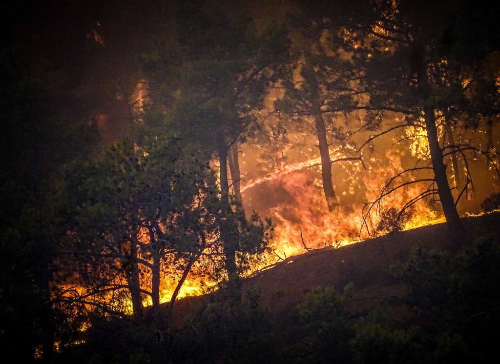 希腊罗德岛野火导致1.9万人撤离
