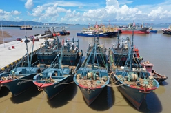 浙江：防御台风“杜苏芮” 渔船进港避风