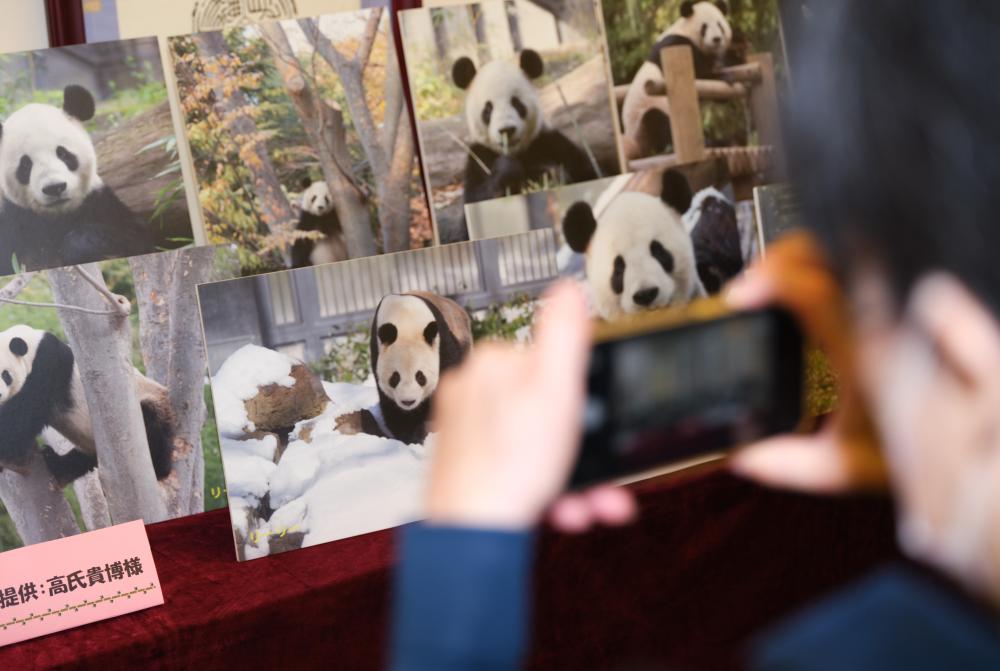 日本东京：为大熊猫“比力”庆生
