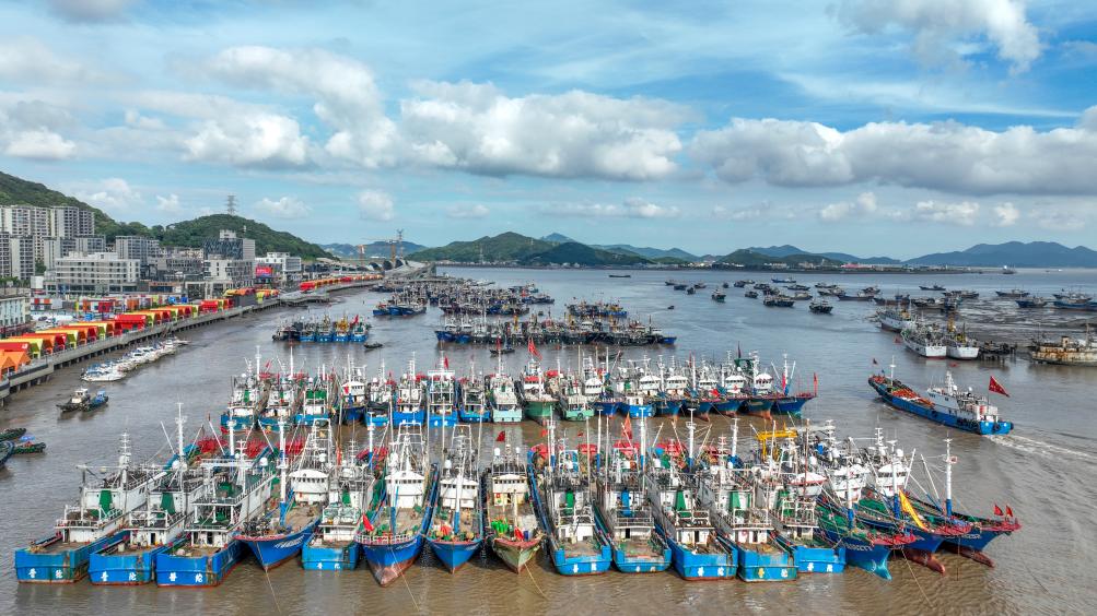“海葵”逼近 浙江各地渔船回港避风