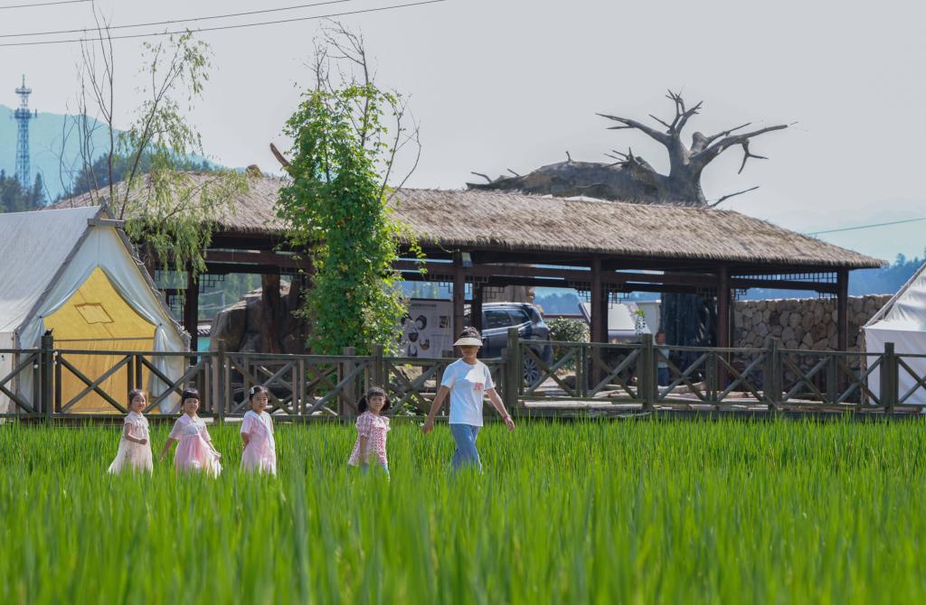 浙江臨安：打造村落景區助力國家級農業産業強鎮創建