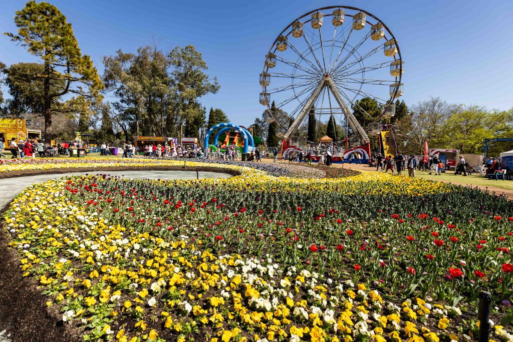 澳大利亚最大迎春活动在堪培拉开幕