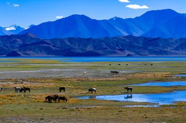 西藏：鳥瞰班公湖