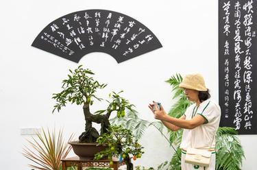 第二届湖南花卉苗木博览会在湘潭开幕