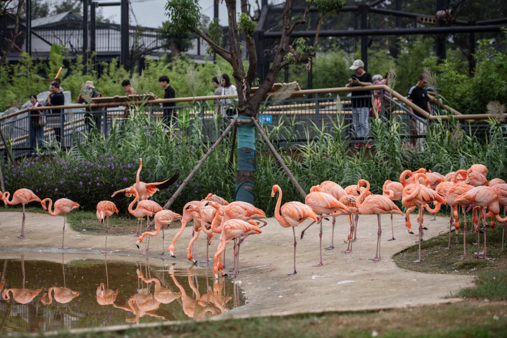 武汉动物园正式开园