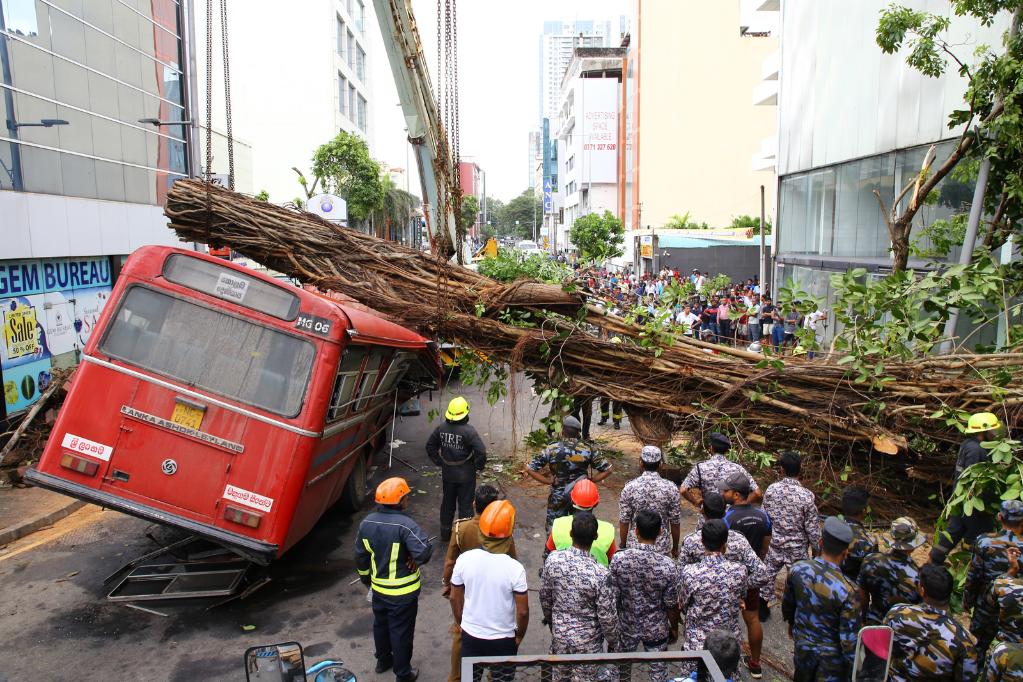 斯里兰卡一公交车被大树砸中5人死亡