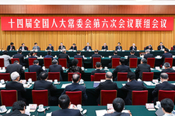 十四届全国人大常委会第六次会议举行联组会议 赵乐际出席