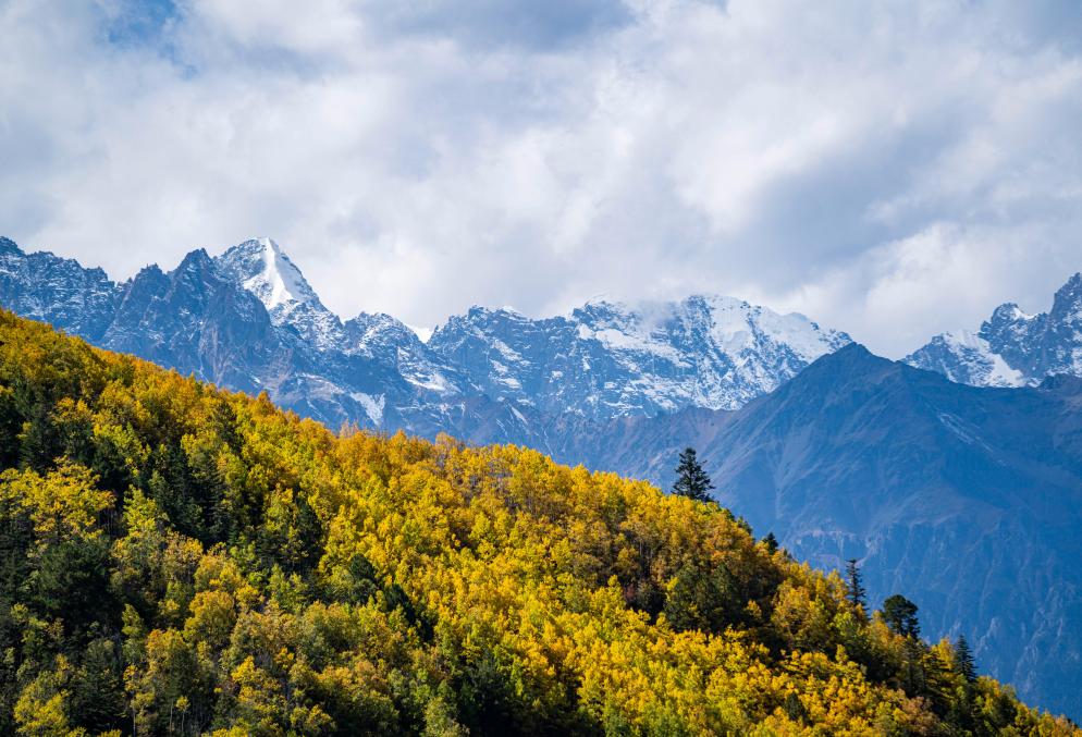 西藏芒康：红拉山上秋意浓