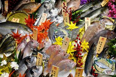 第26届中国国际渔业博览会在青岛开幕