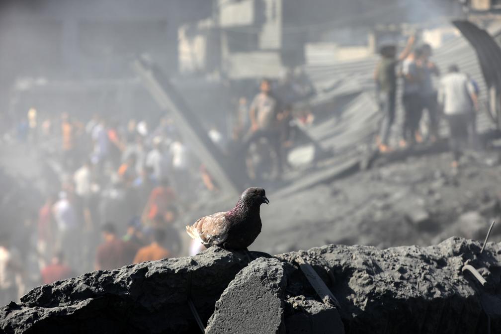 加沙：废墟之上