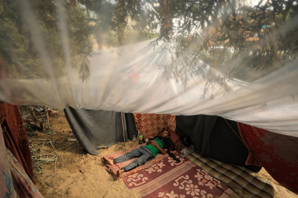 加沙地带：流离失所的巴勒斯坦人